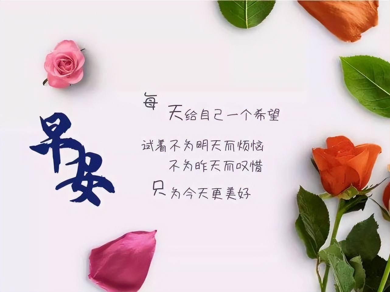 心语 一季落花