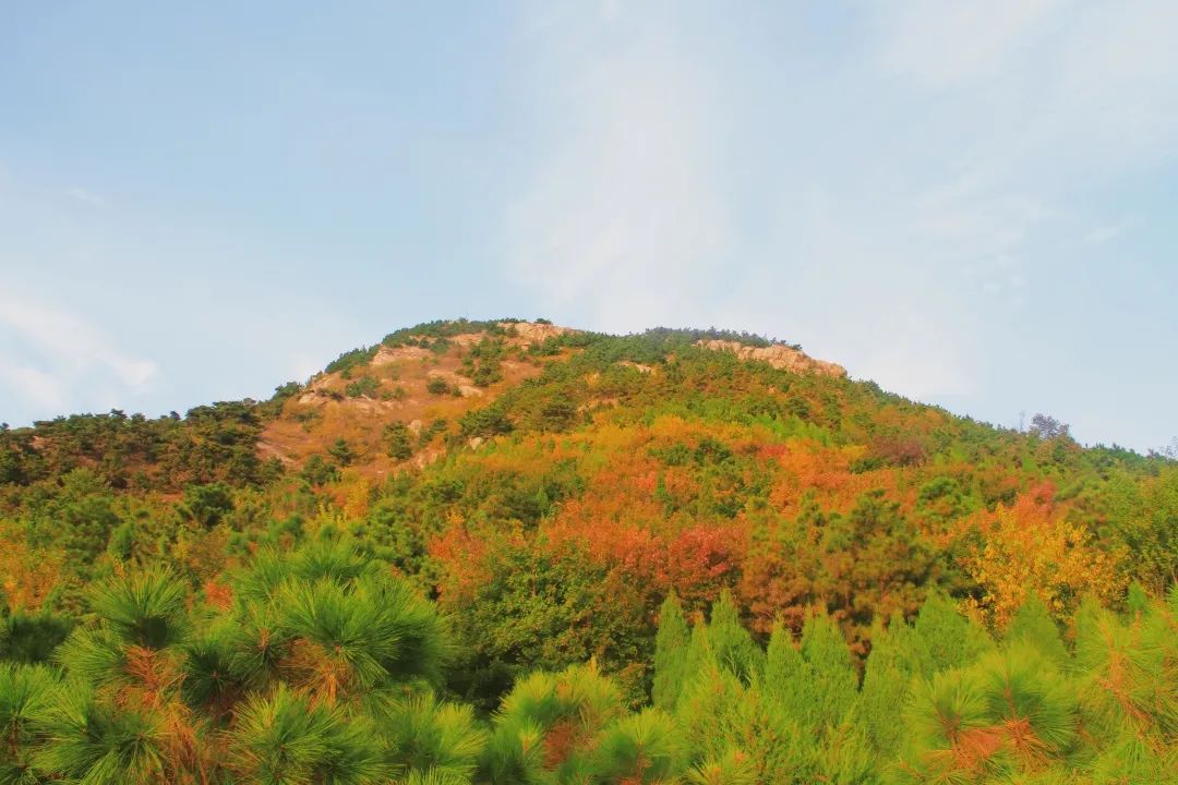 阿掖山风景区电话图片