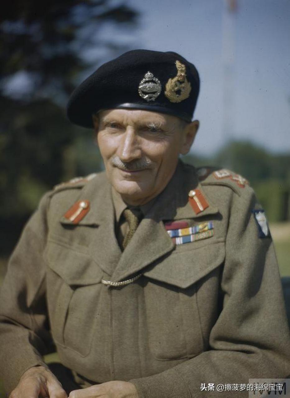 英国陆军军衔标志详解 陆军元帅(field marshal):标志为皇冠,橡叶花环