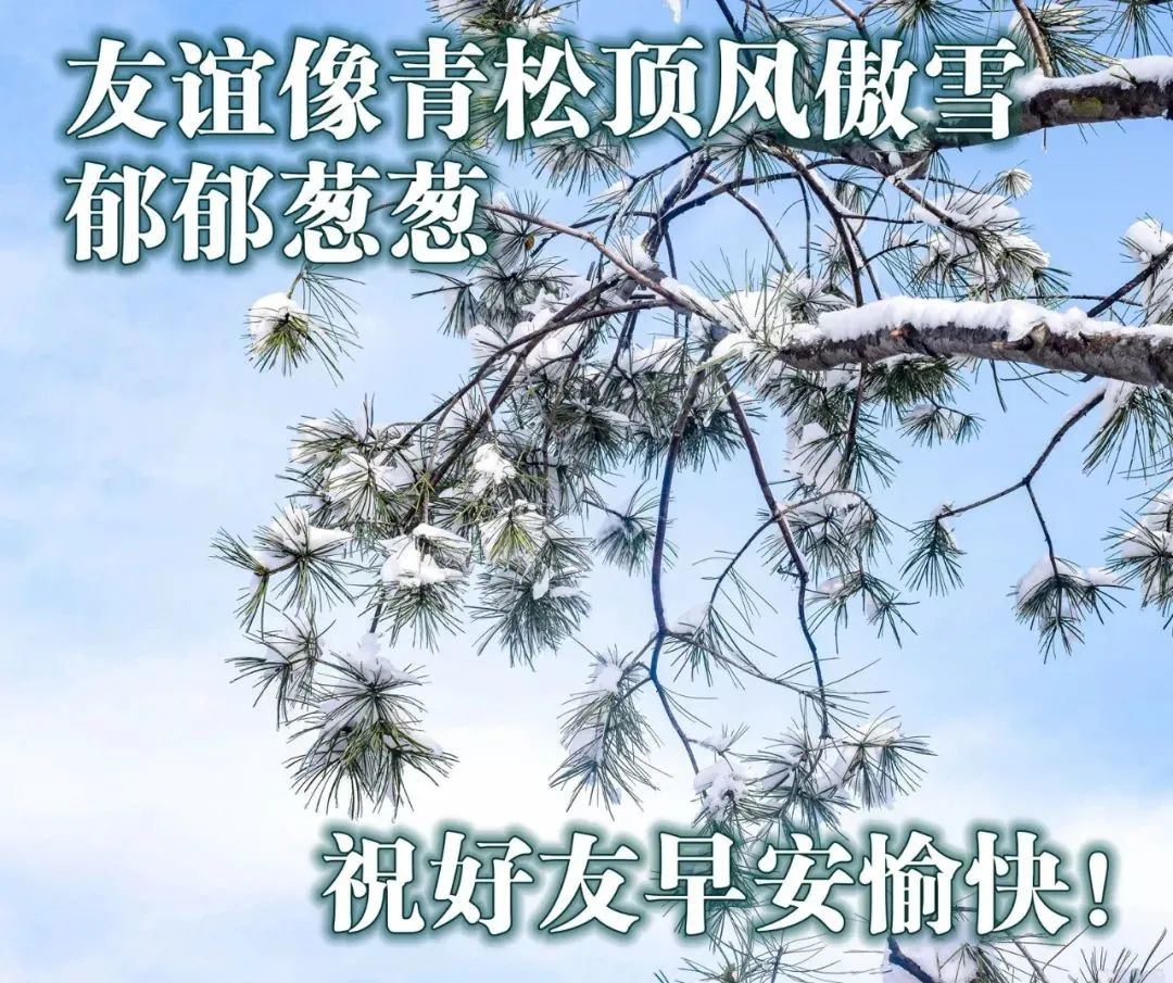 早上好问候语文字带图片 早上好表情包带字问候