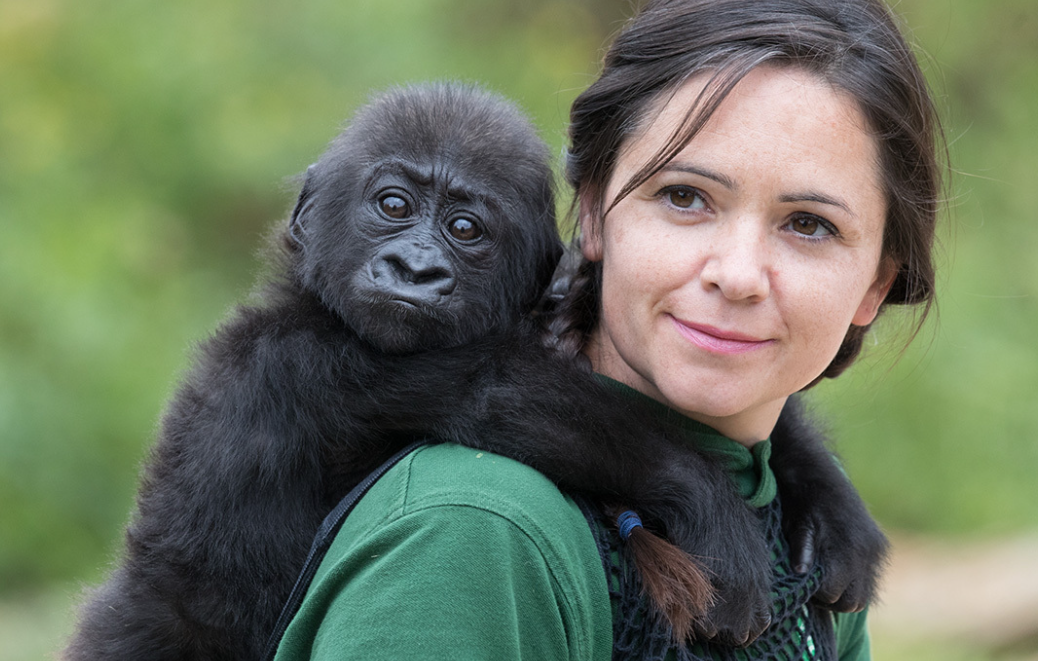 异步关系下的人与动物:冲突,创造和和谐