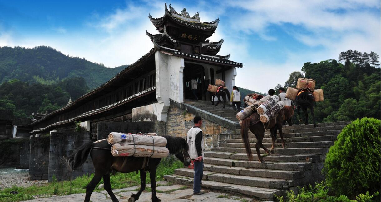 明朝时期,用茶叶交换马匹是通过茶马贸易立法来维系和实施的