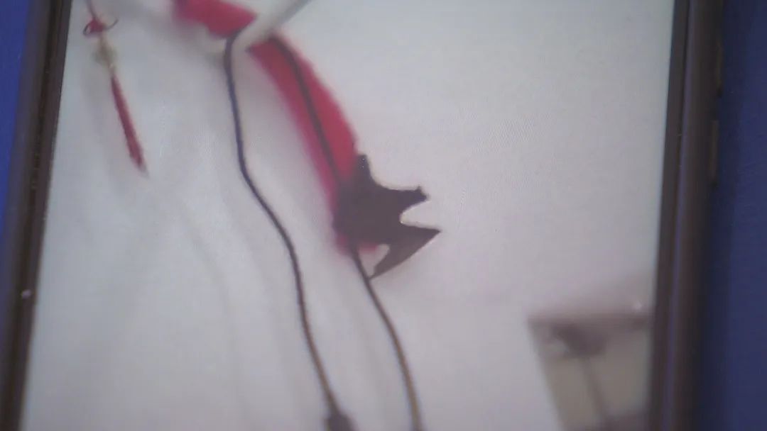 热点|蚊子少了，家里却接连两天出现这东西，全家人吓懵：还会飞到身上