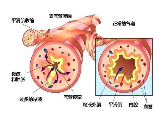 嗅覺異常,刺激,過敏,肺功能異常,肝功能異常,免疫功能異常,中樞神經受