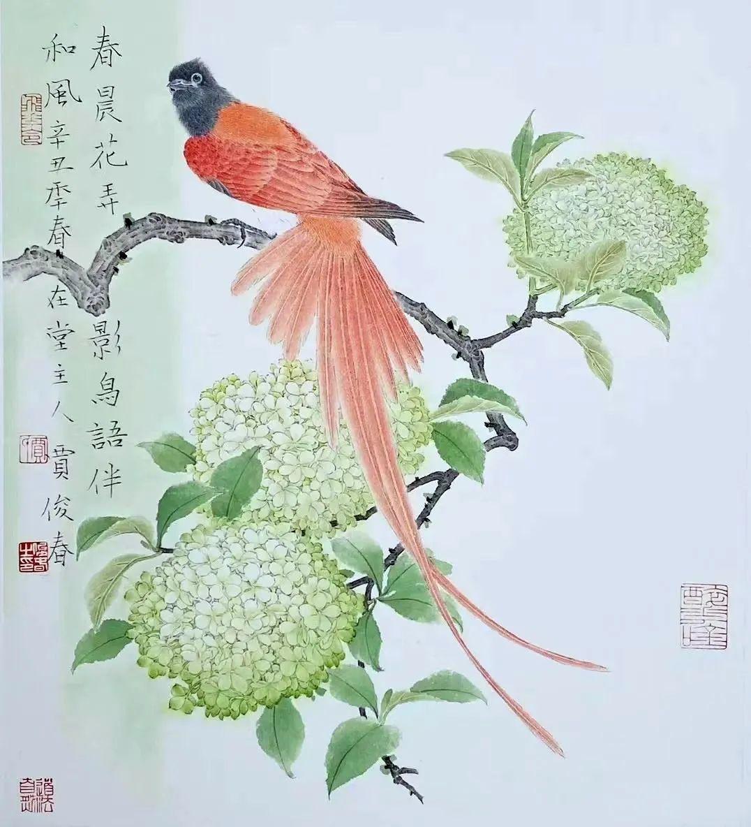 「津门网」清新淡雅天然饰——贾俊春花鸟画