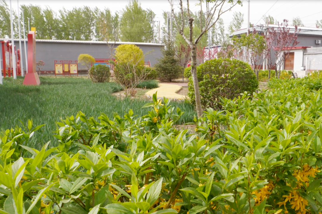 北石槽镇二张营村打造全国村级议事协商创新实验试点