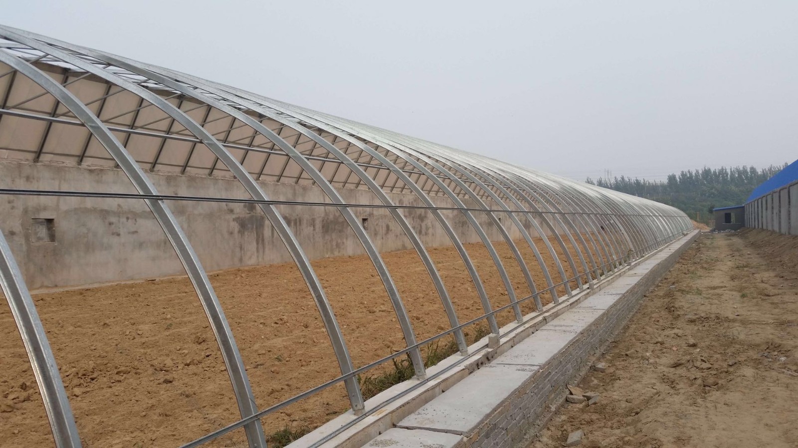 掌握大棚放风技巧,控制温度,选择风向口,为作物生长打基础