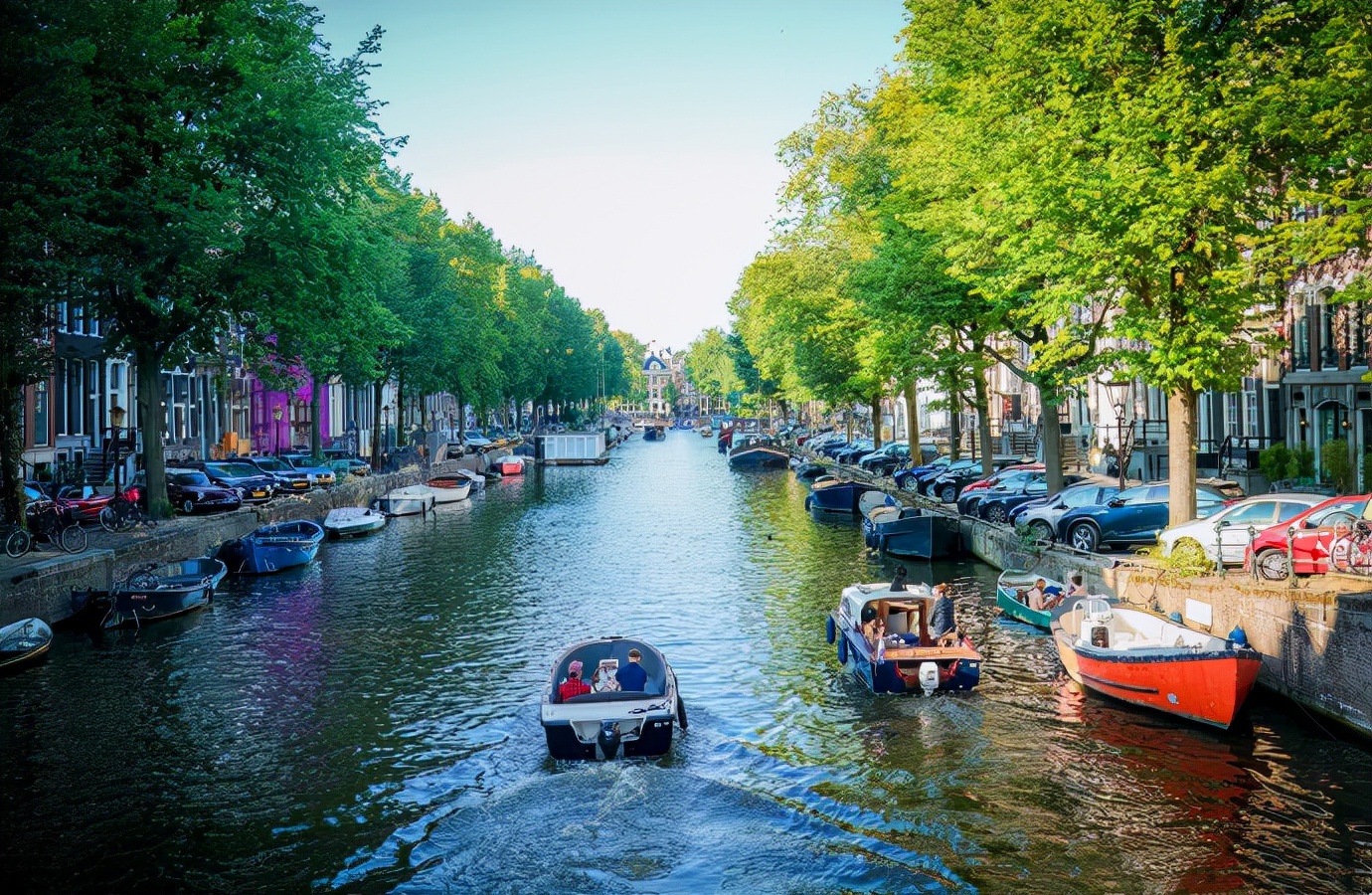 提起荷兰你会想到什么