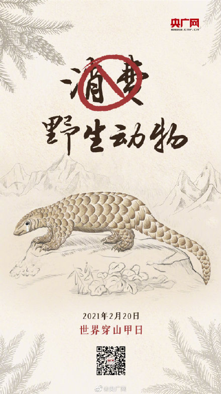 世界穿山甲日 今天,为它们转发!