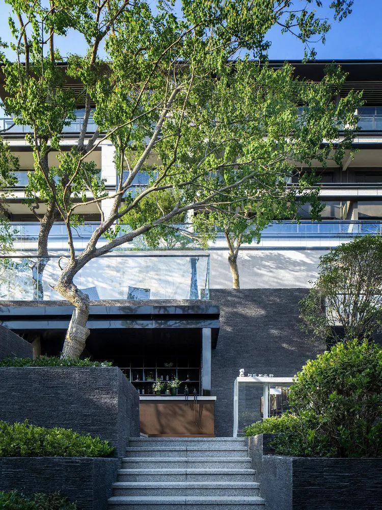 半山·森居·隐境——江苏句容金科·观天下