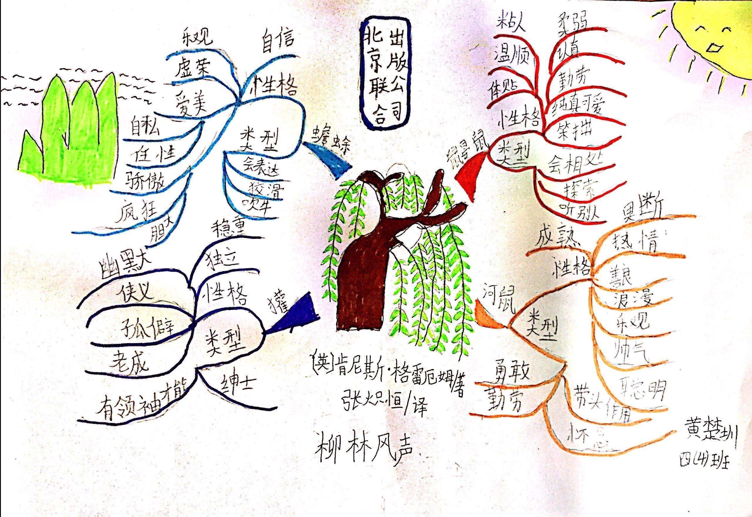 柳林风声思维导图简单图片