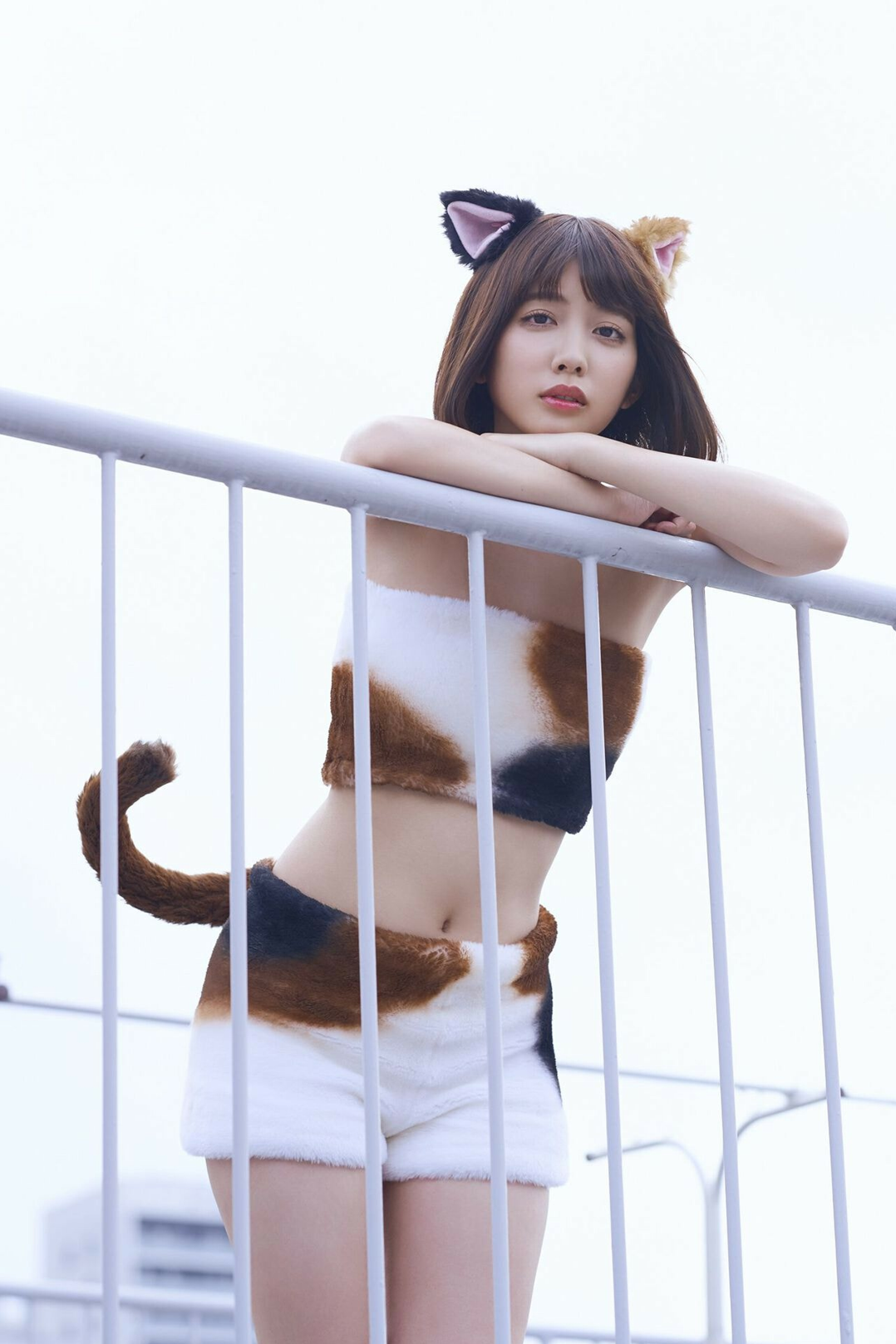 松田瑠华写真,值得收藏的可爱小狸猫