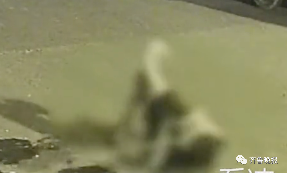 热点|“我当你爸吧！”济南一男子想认帅小伙当干儿子，结局大反转