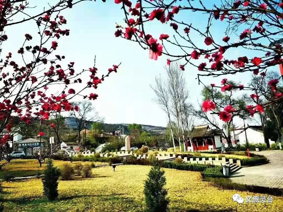 清明踏青,赏灵台春韵