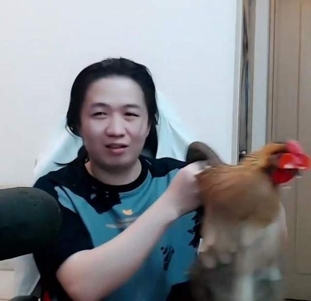 德华过生日收到官方送来的土鸡,弹幕直接笑喷,德华:这鸡拉了