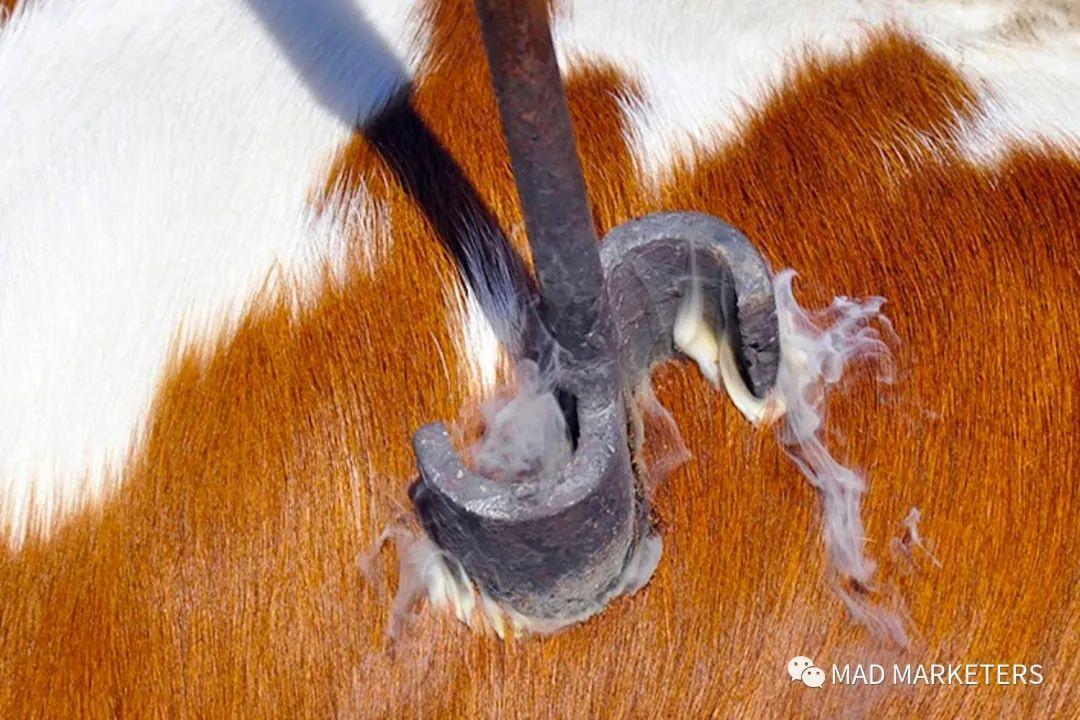 彼时,埃及牧牛场主用这个烙印来标记自己的牲畜,这样一来当牛群穿越