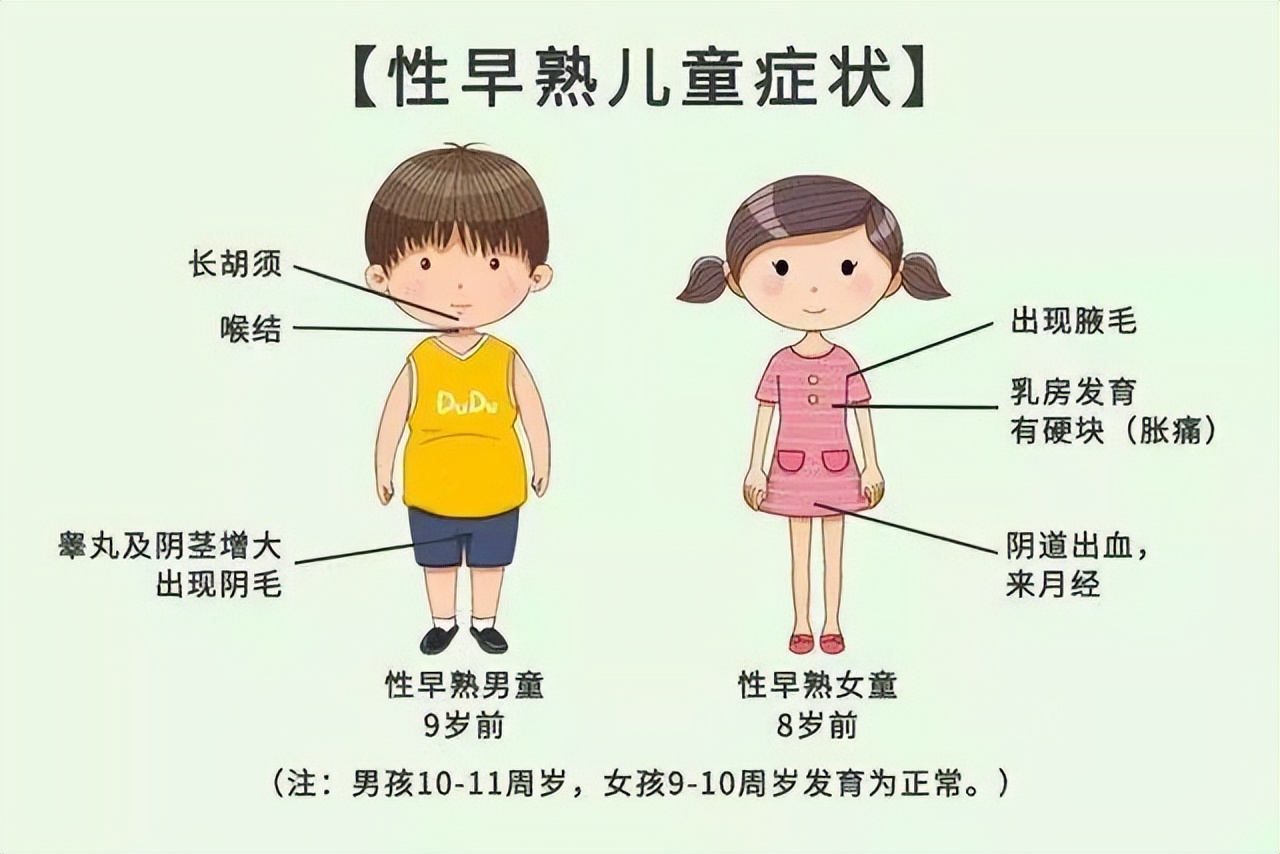 小学生发育良好早熟图片