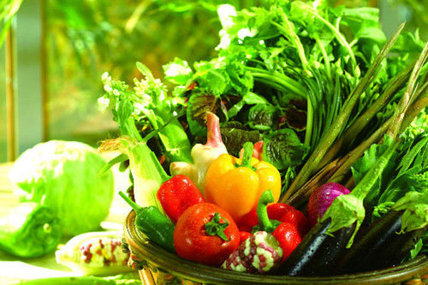 商丘市绿色食品集群培育实施方案