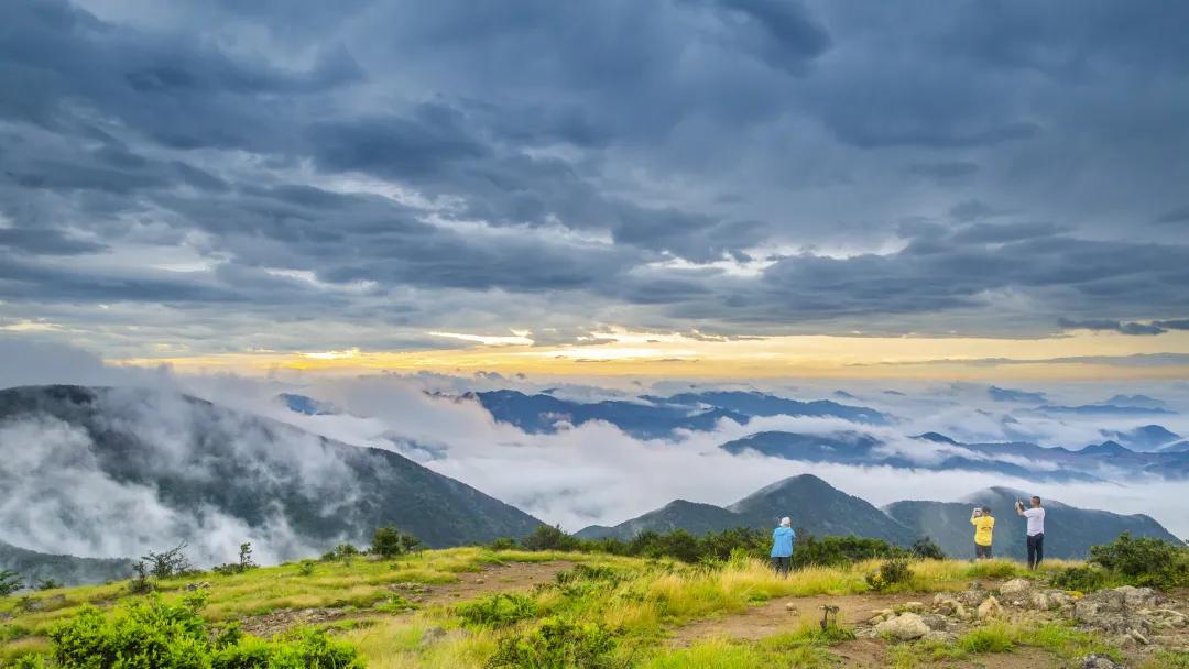 春游丽水:打卡缙云,去这些地方