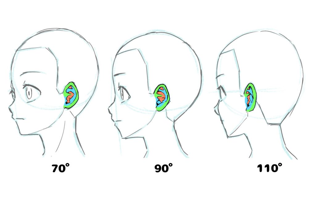 簡單易懂的耳朵結構畫法!畫出沒有違和感的耳朵!
