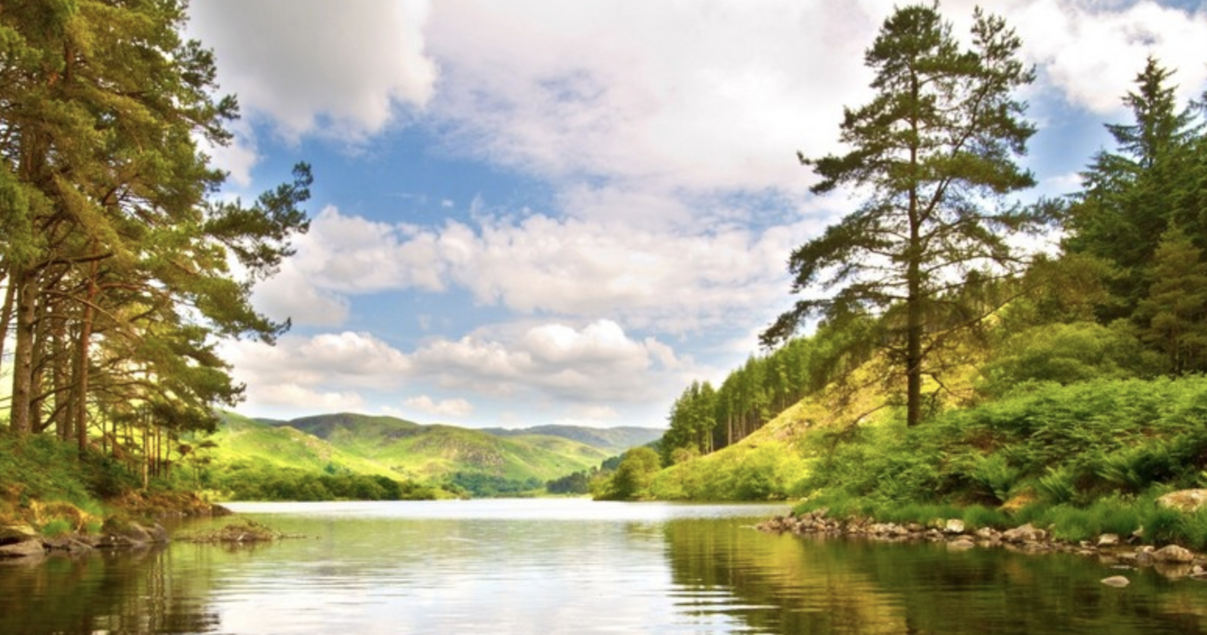 金牛女个性冷静自制,追求实事求是,天生懂得累积和守护