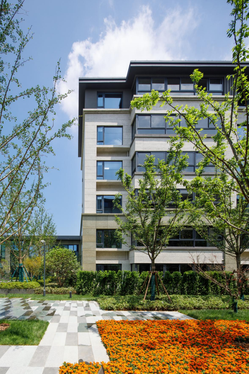 一见倾心再而忘归在南京仁恒到底做了什么