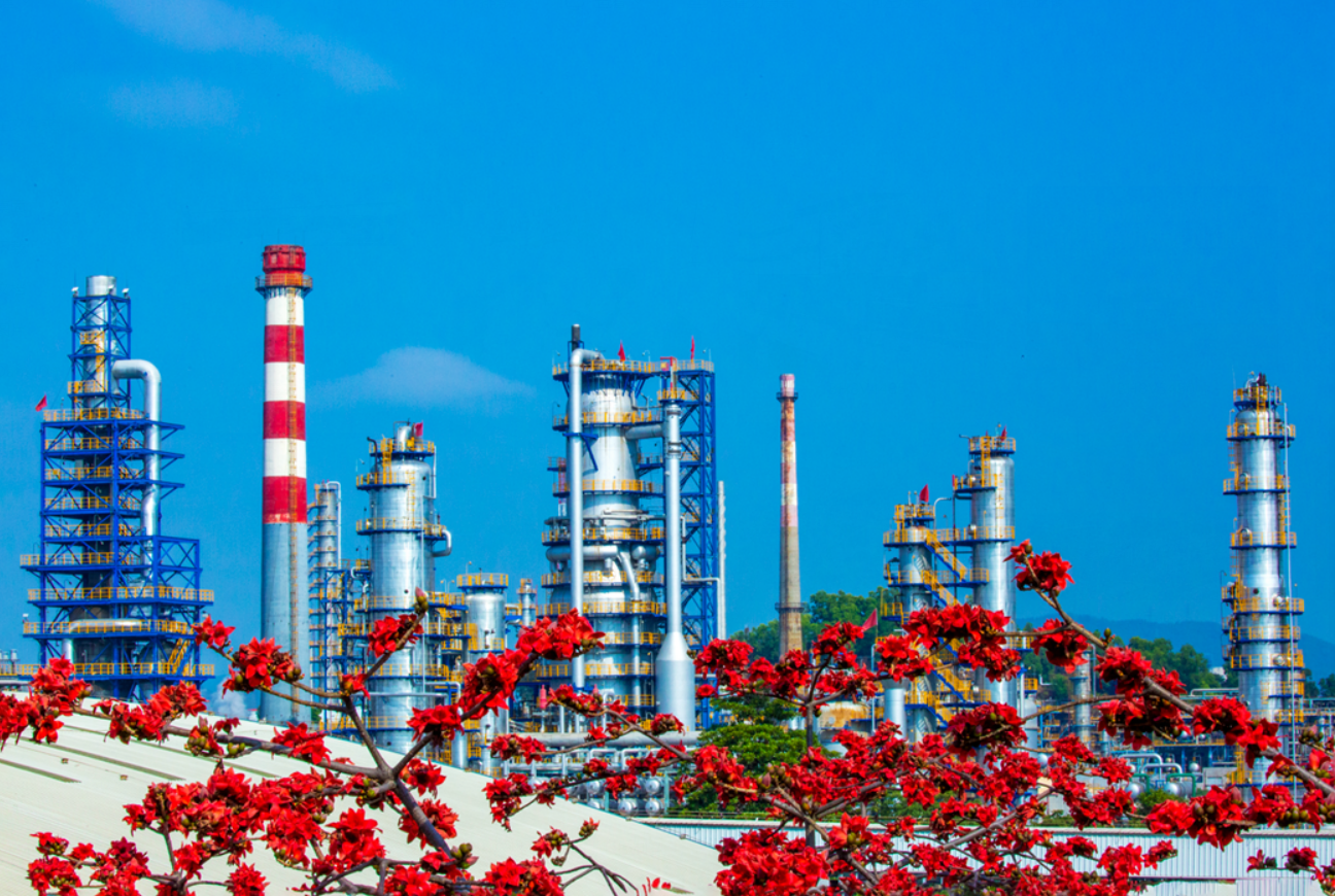 好企业"南粤明珠":好形象好颜值