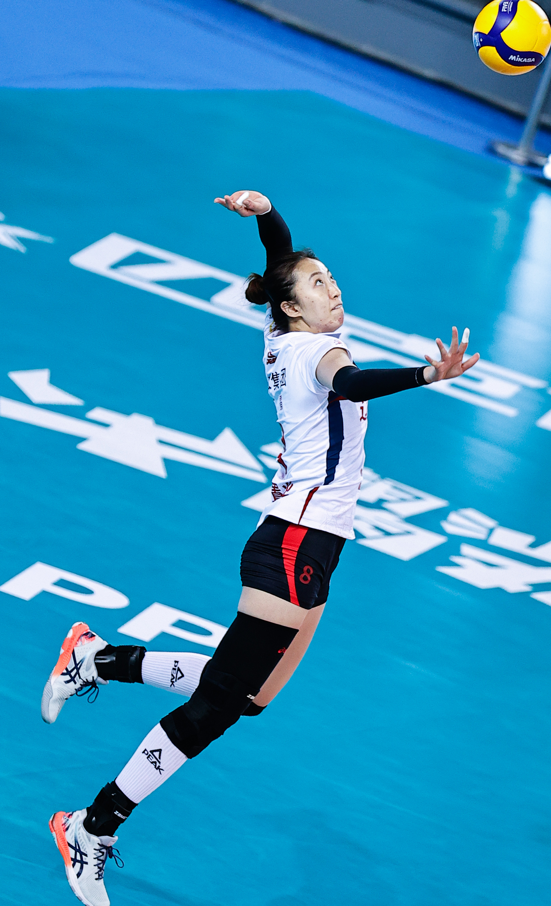 排球——女排联赛:辽宁胜云南