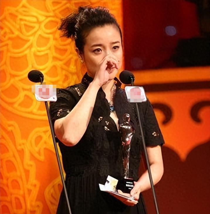 陈小艺曾借助《半路夫妻》获得"第26届中国电视剧飞天奖"优秀女演员