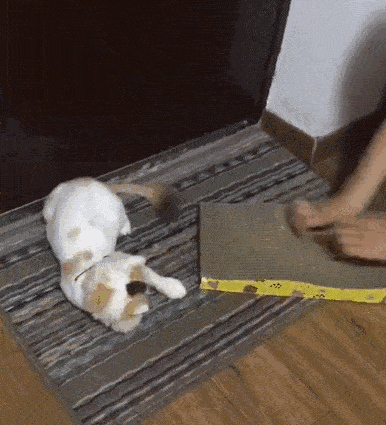 挠抓板
