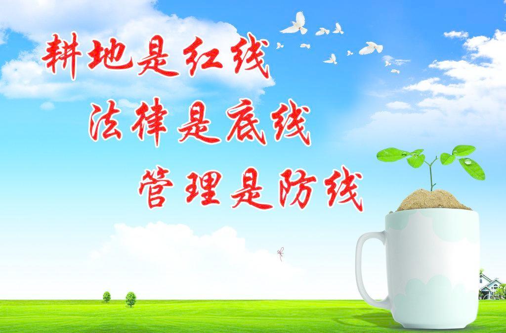 土地管理升级,3沿6区坟头严整!农村新坟往哪埋,旧坟怎么办?