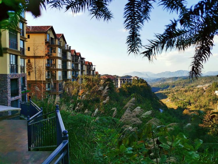 避暑房 四面山避暑房:桃都养生谷