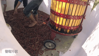 都是用脚踩,酸菜和茅台差距怎那么大?