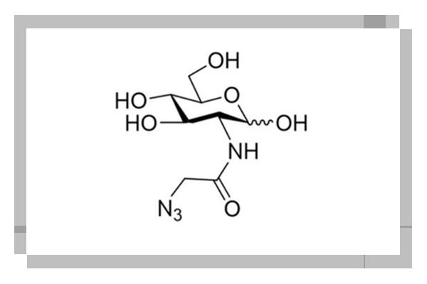 用於體內代謝標記92659-90-0,2-「(疊氮基乙酰基)氨基」2脫氧葡萄糖