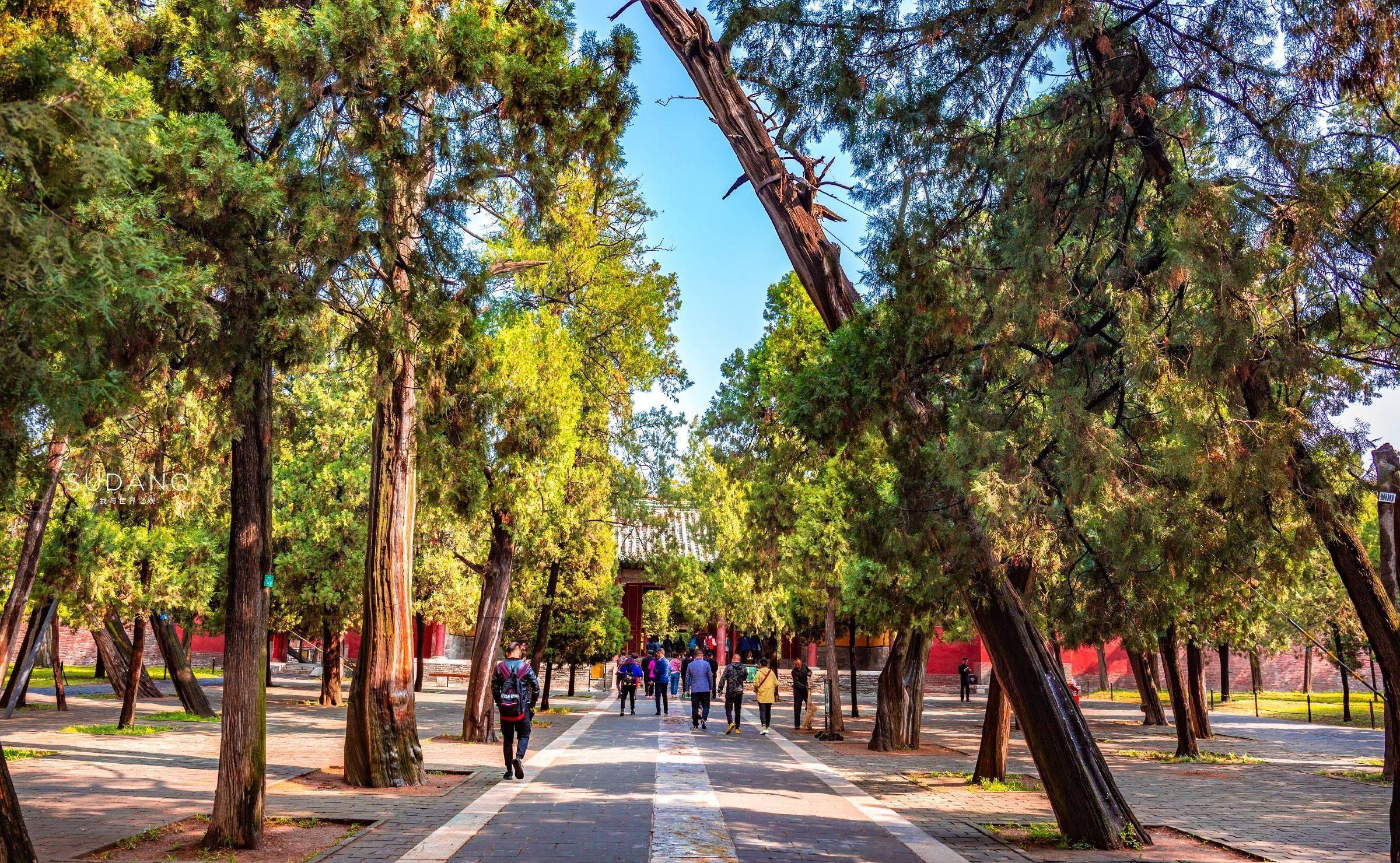 中国三大古建筑群之一,四大文庙之一,已有2400多年历史