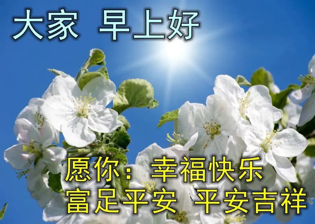 初夏早安图片带字推荐