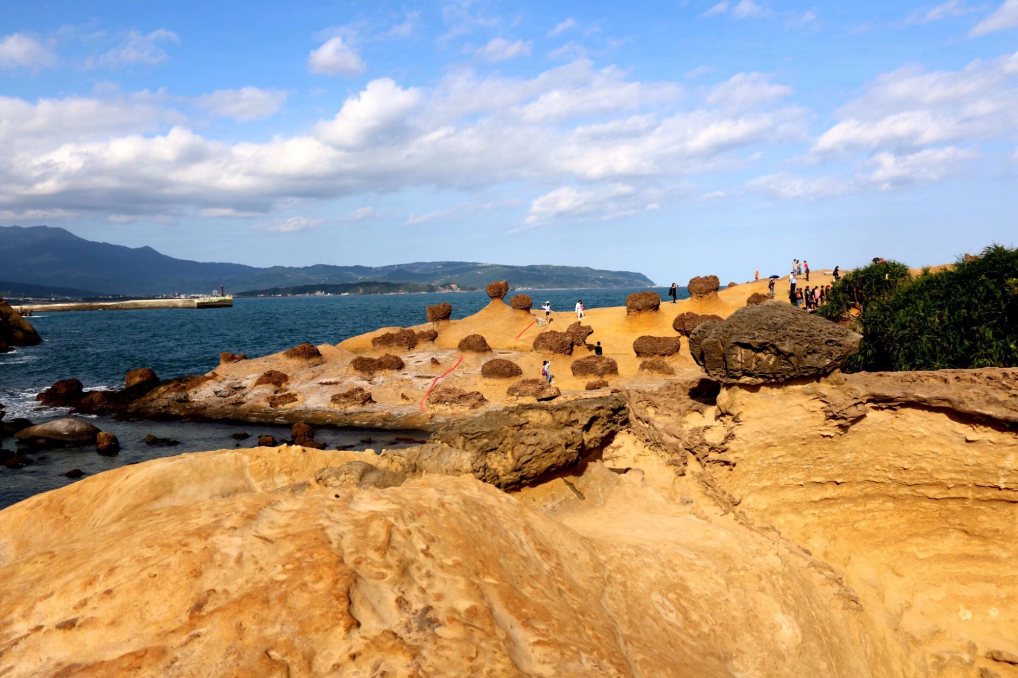 为什么在沿海地区和内陆地区,都会形成蜂窝状的"盐风化地貌"?