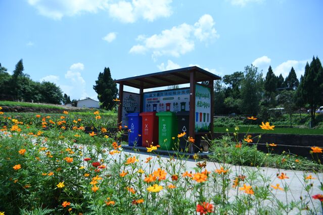 排放整齐的分类垃圾桶  (周亮 摄)