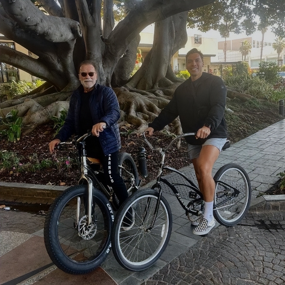 肌肉猛男施瓦辛格:靠当赘婿成为州长,却在酒后出轨保姆生下儿子