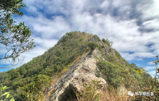 猪排山有多重要,敌人一天耗费的炮弹比二战战役,一天的炮弹都多