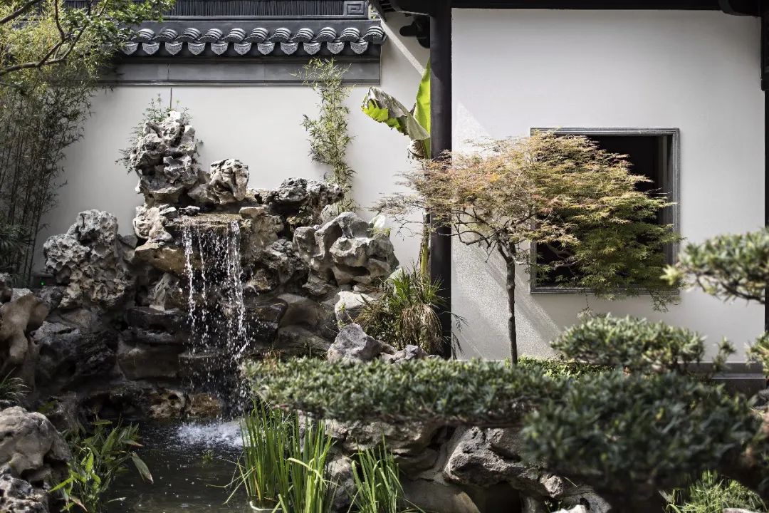 为了院子,他买下461㎡园林豪宅,白墙黛瓦,将生活过成