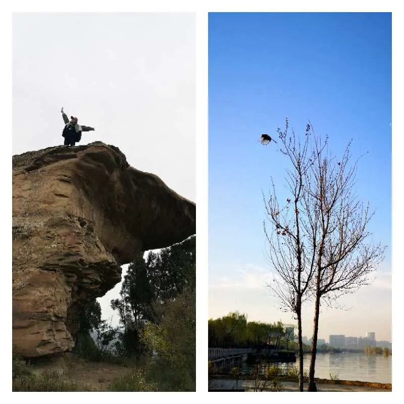 凡是摄影微影赛(159)-《并置》第二周投稿欣赏