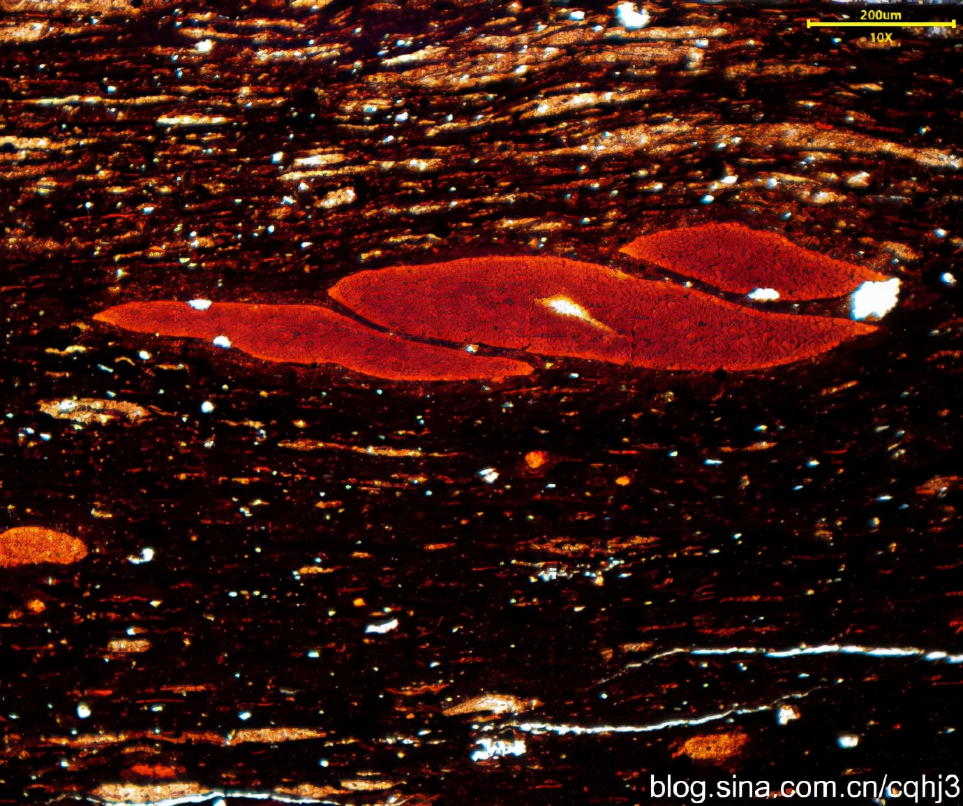 地质静:偏光显微镜下岩石薄片的奇幻世界