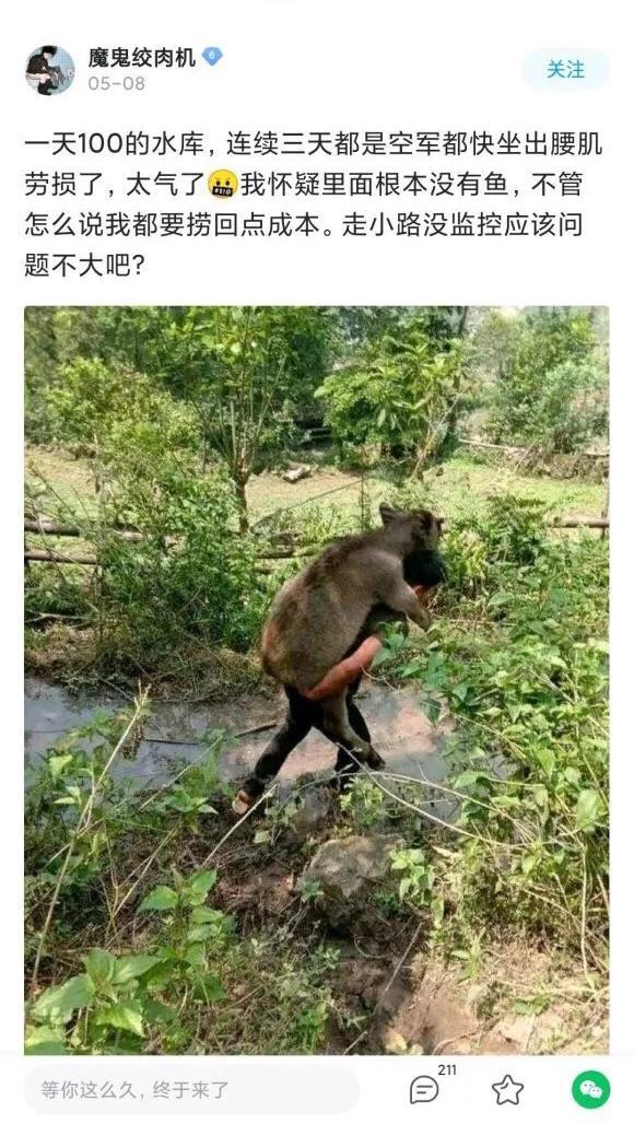 钓鱼佬永不空军