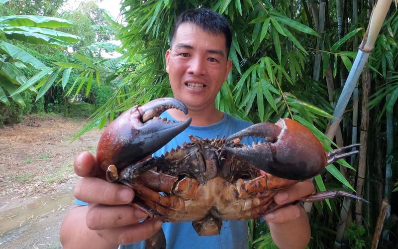 越南小哥抓五斤多一只的青蟹王,卖了一千多,青蟹这么值钱吗?