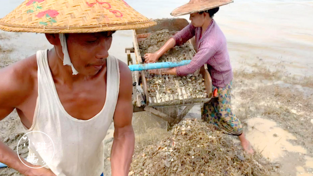 河里淘金者:缅甸夫妻靠淘金养活6个孩子,一天能收获20元