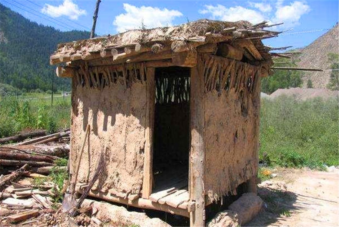 美女在农村上茅厕太尴尬,一只黑狗从砖缝处死盯不放:狗狗有想法