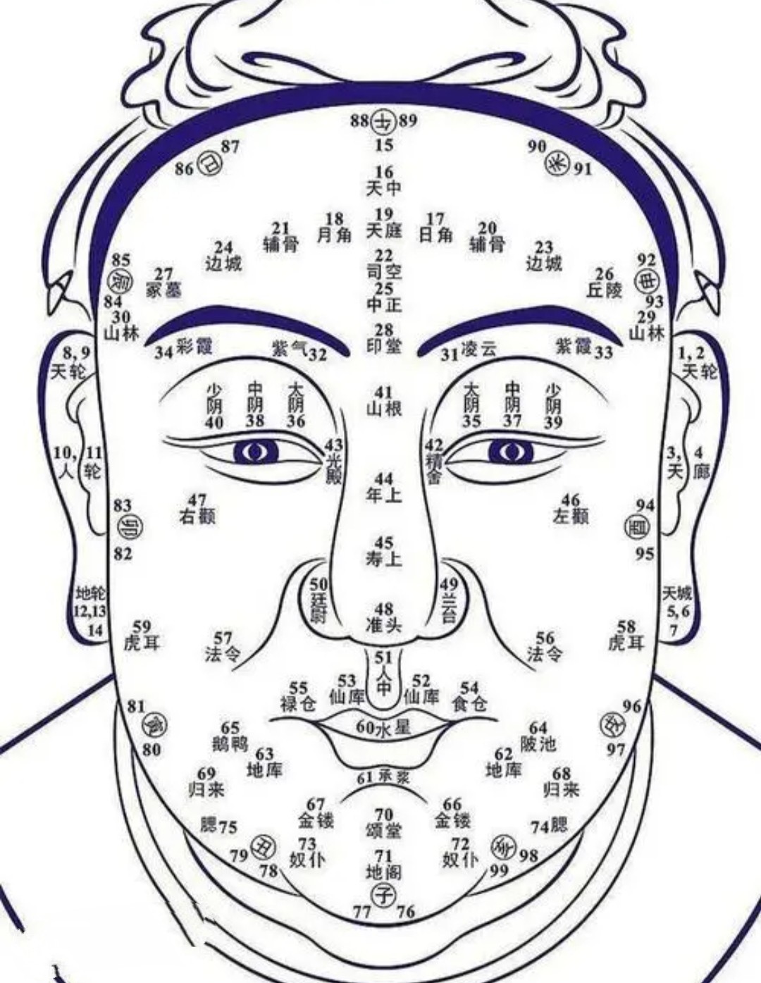 人中一条线的面相图片图片