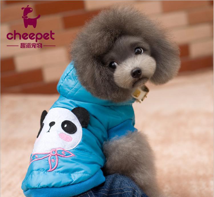 街头遛熊猫?主人回应:这是一只染色松狮犬