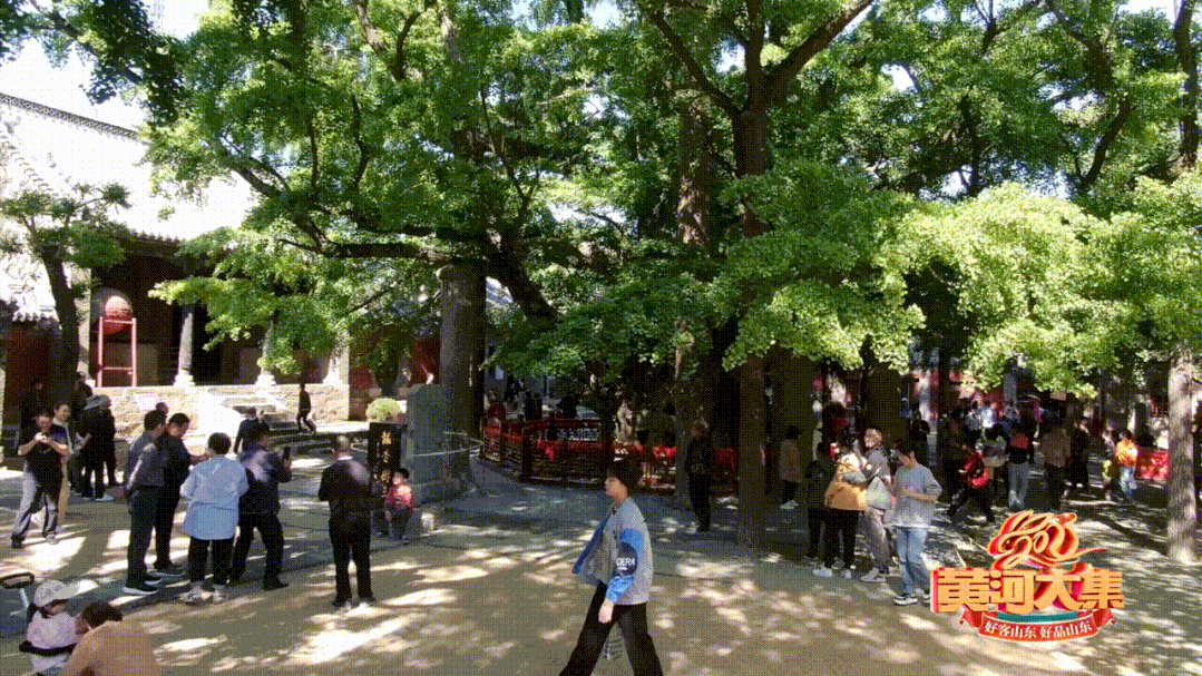 "天下第一"!4000岁!